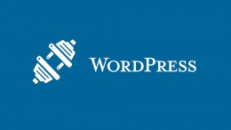 Анатомия плагина WordPress. Часть 3